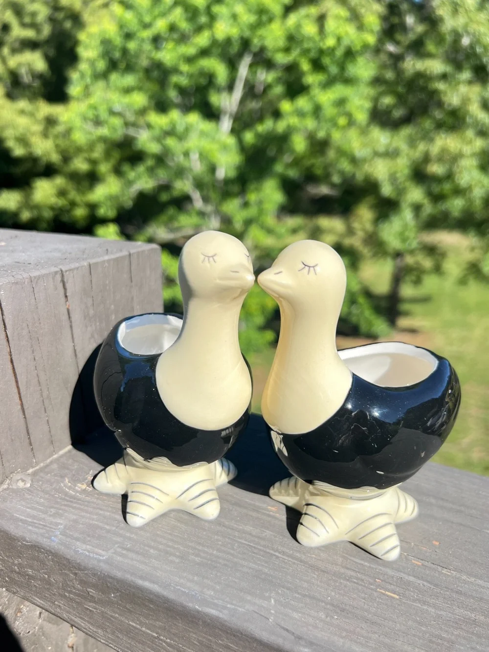 Cottage Ceramic Duck Planter Set Black White Bird Pots Succulent Planters New